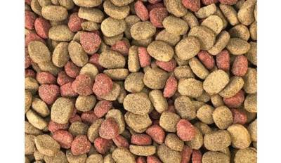 DINO Suché krmivo pro psy s hovězím masem 20kg