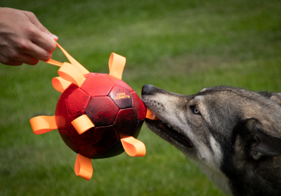 Dog Comets HYPERNOVA super míč oranžový