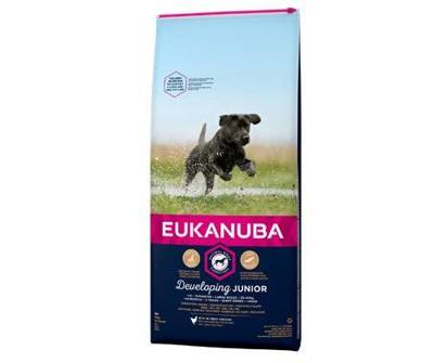 EUKANUBA Junior Large 15kg + Překvapení pro psa