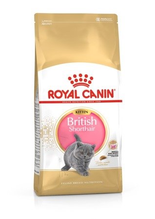 ROYAL CANIN British Shorthair Kitten 2kg + PŘEKVAPENÍ ZDARMA !!!