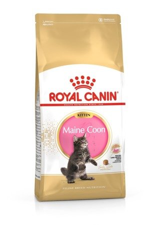 ROYAL CANIN Maine Coon Kitten 2kg + PŘEKVAPENÍ ZDARMA !!!