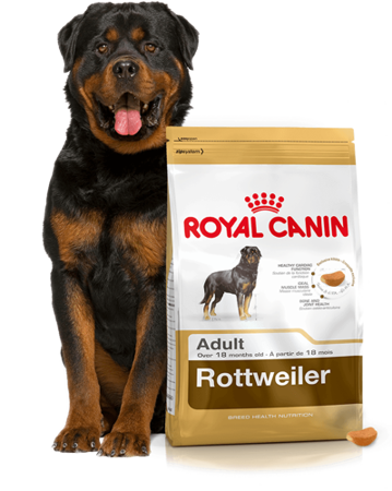 ROYAL CANIN Rottweiler Adult 12kg + PŘEKVAPENÍ ZDARMA !!!