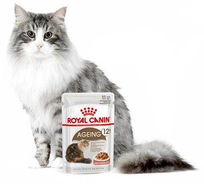 ROYAL CANIN Aging +12 12x85g mokré krmivo v omáčce pro dospělé kočky