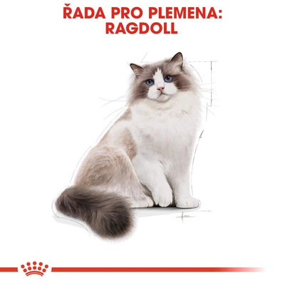 ROYAL CANIN Ragdoll Adult 10kg + PŘEKVAPENÍ ZDARMA !